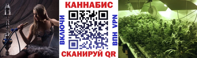 Шишки марихуана конопля  кракен ТОР  Курчатов 
